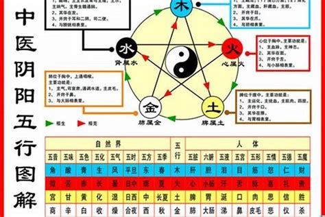 84年五行